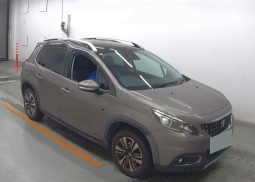 
										2018 PEUGEOT 2008,1200cc, PETROL, 46,489 MILES, AUTOMATIC full									